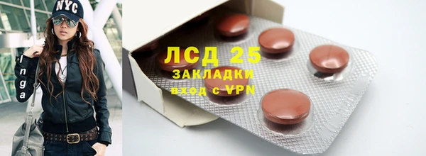 стаф Нефтегорск