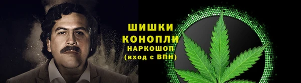 стаф Нефтегорск