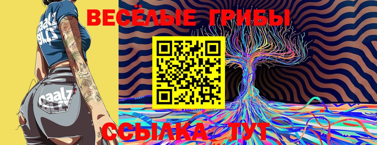 Галлюциногенные грибы MAGIC MUSHROOMS  Псилоцибиновые грибы Magic Shrooms  Асино 